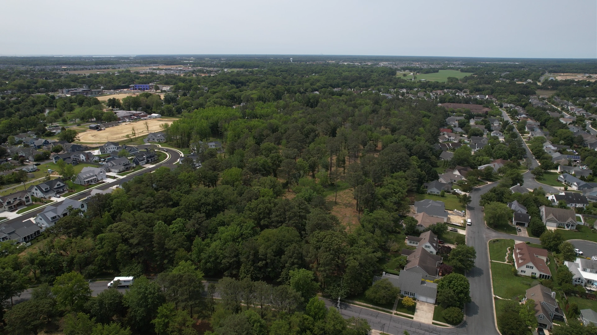 4th Street Forest